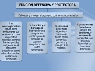 FUNCIÓN DEFENSIVA Y PROTECTORA
Las
inmunoglobulinas
actúan como
anticuerpos que
se sintetizan cuan-
do penetran
moléculas extrañas
frente a posibles
antígenos, en el
organismo
(reaccionan contra
ellos y los inactivan,
facilitando su
eliminación
La trombina y el
fibrinógeno
Intervienen en la
coagulación,
contribuyen a la
formación de
coágulos
sanguíneos para
evitar
hemorragias.
Las mucinas
En el tracto
digestivo y
respiratorio
tienen efecto
bactericida,
germicida y
protegen a las
mucosas.
Algunas toxinas
bacterianas,
como la del
botulismo, o
venenos de
serpientes, son
proteínas
fabricadas con
funciones
defensivas.
Defienden y protegen al organismo contra sustancias extrañas.
 