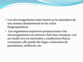  Los microorganismos intervienen en la naturaleza de
una manera fundamental en los ciclos
biogeoquímicos.
 Los organismos superiores proporcionan a los
microorganismos un entorno vital muy ventajoso, con
un medio rico en nutrientes y condiciones físicas
constantes, ello puede dar lugar a relaciones de
parasitismo, simbiosis, etc.
 