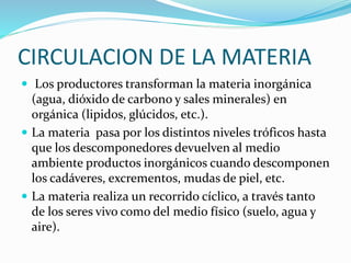 CIRCULACION DE LA MATERIA
 Los productores transforman la materia inorgánica
(agua, dióxido de carbono y sales minerales) en
orgánica (lipidos, glúcidos, etc.).
 La materia pasa por los distintos niveles tróficos hasta
que los descomponedores devuelven al medio
ambiente productos inorgánicos cuando descomponen
los cadáveres, excrementos, mudas de piel, etc.
 La materia realiza un recorrido cíclico, a través tanto
de los seres vivo como del medio físico (suelo, agua y
aire).
 