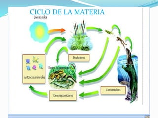 CICLO DE LA MATERIA
 