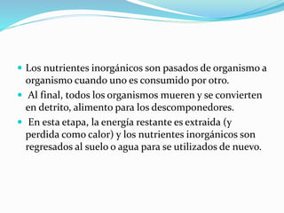  Los nutrientes inorgánicos son pasados de organismo a
organismo cuando uno es consumido por otro.
 Al final, todos los organismos mueren y se convierten
en detrito, alimento para los descomponedores.
 En esta etapa, la energía restante es extraida (y
perdida como calor) y los nutrientes inorgánicos son
regresados al suelo o agua para se utilizados de nuevo.
 