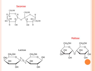 Sacarose
Maltose
 