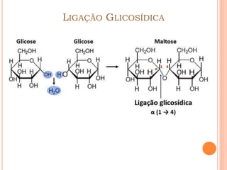 LIGAÇÃO GLICOSÍDICA
 