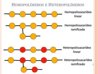HOMOPOLÍMEROS E HETEROPOLÍMEROS
 