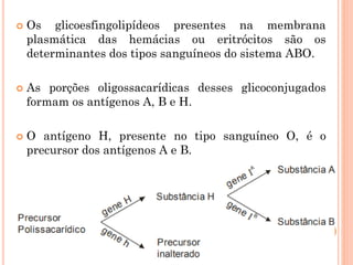  Os glicoesfingolipídeos presentes na membrana
plasmática das hemácias ou eritrócitos são os
determinantes dos tipos sanguíneos do sistema ABO.
 As porções oligossacarídicas desses glicoconjugados
formam os antígenos A, B e H.
 O antígeno H, presente no tipo sanguíneo O, é o
precursor dos antígenos A e B.
 
