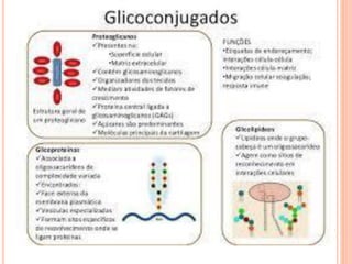 bioquímica aplicada à saúde-unidade 2-2.1-1ºsem2022.pdf