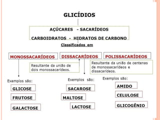 bioquímica aplicada à saúde-unidade 2-2.1-1ºsem2022.pdf