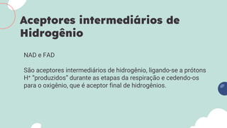 NAD e FAD
São aceptores intermediários de hidrogênio, ligando-se a prótons
H+ “produzidos” durante as etapas da respiração e cedendo-os
para o oxigênio, que é aceptor final de hidrogênios.
Aceptores intermediários de
Hidrogênio
 