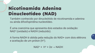 Também conhecido por dinucleótido de nicotinamida e adenina
ou ainda difosfopiridina nucleotídeo.
É uma coenzima que apresenta dois estados de oxidação:
NAD+ (oxidado) e NADH (reduzido).
A forma NADH é obtida pela redução do NAD+ com dois elétrons
e aceitação de um próton (H+).
NAD+ + H+ + 2e-→ NADH
Nicotinamida Adenina
Dinucleotídeo (NAD)
 