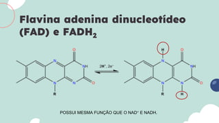Flavina adenina dinucleotídeo
(FAD) e FADH2
POSSUI MESMA FUNÇÃO QUE O NAD+ E NADH.
 