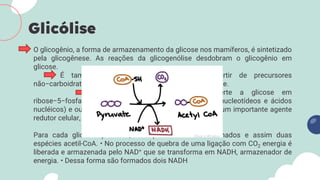 O glicogênio, a forma de armazenamento da glicose nos mamíferos, é sintetizado
pela glicogênese. As reações da glicogenólise desdobram o glicogênio em
glicose.
É também possível sintetizar glicose a partir de precursores
não−carboidratos pelo mecanismo chamado gliconeogênese.
A via das pentoses−fosfato converte a glicose em
ribose−5−fosfato (o açúcar utilizado para a síntese dos nucleotídeos e ácidos
nucléicos) e outros tipos de monossacarídeos. O NADPH, um importante agente
redutor celular, é também produzido por essa via.
Para cada glicose quebrada, dois piruvatos foram formados e assim duas
espécies acetil-CoA. • No processo de quebra de uma ligação com CO2 energia é
liberada e armazenada pelo NAD+ que se transforma em NADH, armazenador de
energia. • Dessa forma são formados dois NADH
Glicólise
 