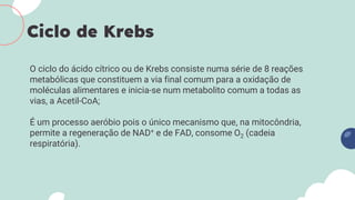 Ciclo de Krebs
O ciclo do ácido cítrico ou de Krebs consiste numa série de 8 reações
metabólicas que constituem a via final comum para a oxidação de
moléculas alimentares e inicia-se num metabolito comum a todas as
vias, a Acetil-CoA;
É um processo aeróbio pois o único mecanismo que, na mitocôndria,
permite a regeneração de NAD+ e de FAD, consome O2 (cadeia
respiratória).
 