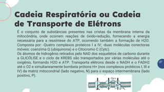 É o conjunto de substâncias presentes nas cristas da membrana interna da
mitocôndria, onde ocorrem reações de óxido-redução, fornecendo a energia
necessária para a ressíntese do ATP, ocorrendo também a formação de H2O.
Composta por: -Quatro complexos proteicos I a IV; -duas moléculas conectoras
móveis: coenzima Q (ubiquinona) e o Citocromo C (Cytc).
Os átomos de hidrogênio retirados pelo NAD dos esqueletos de carbono durante
a GLICÓLISE e o ciclo de KREBS são transportados por várias moléculas até o
oxigênio, formando H2O e ATP. Transporta elétrons desde o NADH e o FADH2
até o O2 e simultaneamente bombeia prótons H+ (nos complexos protéicos I, III e
IV) da matriz mitocondrial (lado negativo, N) para o espaço intermembrana (lado
positivo, P).
Cadeia Respiratória ou Cadeia
de Transporte de Elétrons
 
