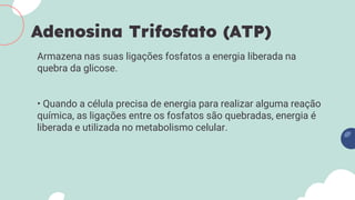 Armazena nas suas ligações fosfatos a energia liberada na
quebra da glicose.
• Quando a célula precisa de energia para realizar alguma reação
química, as ligações entre os fosfatos são quebradas, energia é
liberada e utilizada no metabolismo celular.
Adenosina Trifosfato (ATP)
 