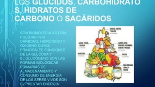 LOS GLÚCIDOS, CARBOHIDRATO
S, HIDRATOS DE
CARBONO O SACÁRIDOS
SON BIOMOLECULAS COM
PUESTAS POR
CARBONO, HIDRÓGENO Y
OXÍGENO CUYAS
PRINCIPALES FUNCIONES
DE LA GLUCOSA Y
EL GLUCÓGENO SON LAS
FORMAS BIOLÓGICAS
PRIMARIAS DE
ALMACENAMIENTO Y
CONSUMO DE ENERGÍA
DE LOS SERES VIVOS SON
EL PRESTAR ENERGÍA

 