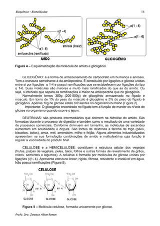 Bioquímica – Biomoléculas                                                                 14




Figura 4 – Esquematização da molécula de amido e glicogênio


     GLICOGÊNIO: é a forma de armazenamento de carboidrato em humanos e animais.
Tem a estrutura semelhante à da amilopectina. É constituído por ligações e glicose unidas
entre si por ligações α 1-4 e possui ramificações que se estabelecem por ligações do tipo
α 1-6. Suas moléculas são maiores e muito mais ramificadas do que as do amido. Ou
seja, o intervalo que separa as ramificações é maior na amilopectina que no glicogênio.
     Normalmente temos 350g (200-500g) de glicogênio armazenado no fígado e
músculo. Em torno de 1% do peso do músculo é glicogênio e 5% do peso do fígado é
glicogênio. Apenas 10g de glicose estão circulantes no organismo humano (Figura 2).
       Importante: O glicogênio encontrado no fígado tem a função de manter os níveis de
glicose no organismo quando ocorre o jejum.

     DEXTRINAS: são produtos intermediários que ocorrem na hidrólise do amido. São
formadas durante o processo de digestão e também como o resultado de uma variedade
de processos comerciais. Conforme diminuem em tamanho, as moléculas de sacarídeo
aumentam em solubilidade e doçura. São fontes de dextrinas a farinha de trigo (pães,
biscoitos, bolos), arroz, mel, amendoim, milho e feijão. Alguns alimentos industrializados
apresentam na sua formulação combinações de amido e maltodextrina cuja função é
regular a viscosidade do produto final.

      CELULOSE e a HEMICELULOSE: constituem a estrutura celular dos vegetais
(frutas, polpas de vegetais, peles, talos, folhas e outras formas de revestimento de grãos,
nozes, sementes e legumes). A celulose é formada por moléculas de glicose unidas por
ligações (1- 4). Apresenta estrutura linear, rígida, fibrosa, resistente e insolúvel em água.
Não possui ramificações (Figura 5).




     Figura 5 – Molécula celulose, formada unicamente por glicose.

Profa. Dra. Janesca Alban Roman
 