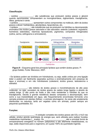 35

Classificação:

- Lipídios _____________: são substâncias que produzem ácidos graxos e glicerol
quando decompostas; compreendem os monoglicerídeos, diglicerídeos; triacilgliceróis,
óleos, gorduras e ceras.
- Lipídeos _____________: apresentam outros componentes na molécula, além de ácidos
graxos e álcool: fosfolipídeos, glicolipídeos, lipoproteínas, etc.
- Lipídeos ___________: são substâncias que se produzem na hidrólise ou decomposição
enzimática dos ácidos graxos saturados e não saturados: esteróis (colesterol, ergosterol,
hormônios esteróides), vitaminas lipossolúveis, pigmentos, compostos nitrogenados
(colina, serina, esfingosina e aminoetanol).




    Figura 9 – Esquema geral dos principais lipídeos que contém ácidos graxos. P-
    grupo fosfato. Fonte: Marzzoco, 2007.


- Os lipídeos podem ser divididos em hidrolisáveis, ou seja, estão unidos por uma ligação
éster e podem ser facilmente separados química e enzimaticamente (em presença de
água e enzimas) e em não hidrolisáveis (colesterol, ácidos graxos, testosterona e
estradiol.

- _______________: são ésteres de ácidos graxos e monohidroalccóis de alto peso
molecular, ou seja, consistem de ácidos graxos de cadeia longa ligados a alcoóis de
cadeia longa. O alto ponto de fusão e são mais resistentes à hidrólise do que os
triacilgliceróis. Devido à grande resistência desses compostos à decomposição, bem
como a sua insolubilidade em água, são frequentemente encontradas formando uma
camada protetora em plantas (folhas) e animais (plumagens). As ceras são amplamente
distribuídas na natureza, tanto em vegetais como em animais, porém sempre em
pequenas quantidades. Ex:


Funções:

- ______________________: A oxidação completa dos ácidos graxos até CO2 e H2O nas
células, produz grande quantidade de energia que, será utilizada para realizar funções
metabólicas importantes (__kcal/g). Os ____________________são a principal forma de
armazenamento energético no homem (adipócitos) e são altamente metabolizáveis, ou
seja, estão disponíveis para o organismo, em quase 100% da quantidade ingerida.


Profa. Dra. Janesca Alban Roman
 