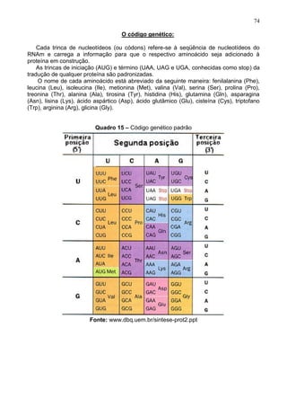 74

                                     O código genético:

    Cada trinca de nucleotídeos (ou códons) refere-se à seqüência de nucleotídeos do
RNAm e carrega a informação para que o respectivo aminoácido seja adicionado à
proteína em construção.
    As trincas de iniciação (AUG) e término (UAA, UAG e UGA, conhecidas como stop) da
tradução de qualquer proteína são padronizadas.
    O nome de cada aminoácido está abreviado da seguinte maneira: fenilalanina (Phe),
leucina (Leu), isoleucina (Ile), metionina (Met), valina (Val), serina (Ser), prolina (Pro),
treonina (Thr), alanina (Ala), tirosina (Tyr), histidina (His), glutamina (Gln), asparagina
(Asn), lisina (Lys), ácido aspártico (Asp), ácido glutâmico (Glu), cisteína (Cys), triptofano
(Trp), arginina (Arg), glicina (Gly).


                           Quadro 15 – Código genético padrão




                        Fonte: www.dbq.uem.br/sintese-prot2.ppt




                                                                                          74
 