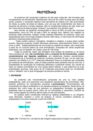 75


                                 PROTEÍNAS
       As proteínas são compostos orgânicos de alto peso molecular, são formadas pelo
encadeamento de aminoácidos. Representam cerca de 50 a 80% do peso seco da célula
sendo, portanto, o composto orgânico mais abundante de matéria viva. São encontradas
em todas as partes de todas as células, uma vez que são fundamentais sob todos os
aspectos da estrutura e função celulares. São os constituintes básicos da vida: tanto que
seu nome deriva da palavra grega "proteios", que significa "em primeiro lugar".
       Nos animais, as proteínas correspondem à cerca de 80% do peso dos músculos
desidratados, cerca de 70% da pele e 90% do sangue seco. Mesmo nos vegetais as
proteínas estão presentes. Existem muitas espécies diferentes de proteínas, cada uma
especializada para uma função biológica diversa. Além disso, a maior parte da informação
genética é expressa pelas proteínas.
         Todas contêm carbono, hidrogênio, nitrogênio e oxigênio, e quase todas contêm
enxofre. Algumas proteínas contêm elementos adicionais, particularmente fósforo, ferro,
zinco e cobre. Independentemente de sua função ou espécie de origem, são construídas
a partir de um conjunto básico de vinte aminoácidos, arranjados em várias seqüências
específicas, que se repetem, em média, cerca de 100 vezes.
       Todas as proteínas, sejam das linhagens mais antigas de bactérias ou de forma
mais complexa de vida, são constituídas com o conjunto de 20 aminoácidos, unidos
covalentemente por ligações peptídicas, em seqüências lineares características.
Considerando-se a formação de proteínas contendo somente 20 aas, um de cada tipo,
poderiam ser obtidos 2,4 x 1018 moléculas diferentes! Como as proteínas são compostas
por centenas de aminoácidos, cada um deles podendo estar presente mais de uma vez, a
possibilidade de construção de moléculas diferentes é praticante infinita. Em virtude de
cada um destes aminoácidos ter uma cadeia lateral distinta, a qual determina as suas
propriedades químicas, este grupo de 20 moléculas precursoras pode ser considerado
como o “alfabeto” com o qual a linguagem da estrutura protéica é escrita.

1. DEFINIÇÃO

       As proteínas são macromoléculas compostas de uma ou mais cadeias
polipeptídicas, cada uma possuindo uma seqüência característica de aminoácidos. São,
portanto polímeros de aminoácidos (somente L-aminoácidos) *D-aminoácidos são
encontrados em alguns antibióticos e em paredes celulares de bactérias. Desta forma, as
proteínas têm como base de sua estrutura os polipeptídios formados de ligações
peptídicas entre os grupos amino (-NH2) de um aminoácido e carboxílico (-COOH) de
outro, ambos ligados ao carbono alfa de cada um dos aminoácidos.
       As cadeias assim constituídas chamam-se cadeias polipetídidas e, ao atingirem
certa dimensão, recebem o nome de proteína. É comum considerar proteínas os
polipeptídeos com peso molecular a partir de 6.000 Da.
                  COOH                      HOOC
                  |                              |
           +
            H3N – C – H                      H – C –NH3+
                  |                              |
                  CH3                         H3C

               L – alanina                 D – alanina
Figura 14- Formas D e L da alanina são imagens especulares (imagens no espelho)
                                                                                      75
 