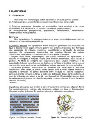 77

3. CLASSIFICAÇÃO

3.1. Composição

      De acordo com a composição podem ser divididas em duas grandes classes:
a) Proteínas simples: apresentando apenas aminoácidos em sua composição.

b) Proteínas conjugadas: formadas por aminoácidos (parte protéica) e de outras
substâncias (parte não protéica, ou também chamado de grupo prostético).
Ex: nucleoproteínas, glicoproteínas, lipoproteínas, hemoproteínas, flavoproteínas,
fosfoproteínas e metaloproteínas.

3.2. Forma
       Dois tipos distintos de proteínas podem ainda serem evidenciados quanto à forma
tridimensional das cadeias polipeptídicas.

a) proteínas fibrosas: que apresentam forma alongada, geralmente são insolúveis em
água e desempenham papel estrutural passivo nos sistemas biológicos. São formadas
pela associação de módulos repetitivos, possibilitando a construção de grandes
estruturas. Os componentes fundamentais das proteínas fibrosas são cadeias
polipeptídicas muito longas com estrutura secundária regular. Exemplos:
- colágeno (tripla hélice, tropocolágeno, que quando submetida ao aquecimento, a
estrutura do colágeno é rompida, origina uma proteína desenrolada, mais solúvel, a
gelatina). As fibras de colágeno são responsáveis pelas funções mecânicas e de
sustentação do tecido conjuntivo, que se distribui por cartilagens, tendões, matriz óssea e
pele; mantém ainda a estrutura e elasticidade do sistema vascular e de todos os órgãos.
- -queratina ( -hélice), componente da epiderme dos vertebrados e estruturas
relacionadas, como cabelo, lã, chifres, unhas, cascos, bicos e penas. Nessas proteínas é
freqüente a formação de pontes dissulfeto entre resíduos de cisteína adjacentes,
conferindo grande estrutura as fibras. O padrão de distribuição destas pontes determina o
grau de ondulação do cabelo e da lã. As β-queratinas (β-preguiada) são as fibras
formadas por empilhamento de folhas β- preguiada, como acontece na fibroína da seda e
das teias de aranha).
- elastina.

b) proteínas globulares: que tendem a ser estruturalmente complexas, adquirem forma
final aproximadamente esférica, são geralmente solúveis em água e desempenham
diferentes funções dinâmicas. Ex: enzimas, albumina, globulinas, hemoglobina




.



    Figura 15 – Colágeno (proteína fibrosa)       Figura 16 – Enzima (proteína globular)


                                                                                           77
 