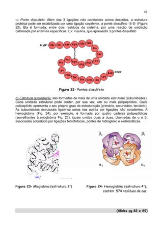 81

   Ponte dissulfeto: Além das 3 ligações não covalentes acima descritas, a estrutura
protéica pode ser estabilizada por uma ligação covalente, a ponte dissulfeto -S-S- (Figura
22). Ela é formada, entre dois resíduos de cisteína, por uma reação de oxidação
catalisada por enzimas específicas. Ex: insulina, que apresenta 3 pontes dissulfeto




                              Figura 22- Pontes dissulfeto

d) Estrutura quaternária: são formadas de mais de uma unidade estrutural (subunidades).
Cada unidade estrutural pode conter, por sua vez, um ou mais polipeptídios. Cada
polipeptídio apresenta o seu próprio grau de estruturação (primário, secundário, terciário).
As subunidades estruturais ligam-se umas nas outras por ligações não covalentes. A
hemoglobina (Fig. 24), por exemplo, é formada por quatro cadeias polipeptídicas
(semelhantes à mioglobina Fig. 23), iguais unidas duas a duas, chamadas de             e β,
associadas sobretudo por ligações hidrofóbicas, pontes de hidrogênio e eletrostáticas.




Figura 23– Mioglobina (estrutura 3 )             Figura 24- Hemoglobina (estrutura 4 ),
                                                           contém 574 resíduos de aas




                                                                      (Slides pg.82 e 89)
                                                                                         81
 