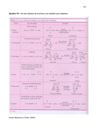 105


Quadro 19 – As seis classes de enzimas e as reações que catalisam




Fonte: Marzzoco e Torres (2007).



                                                                    105
 