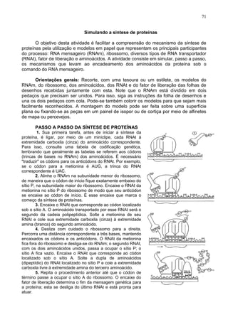 71


                                Simulando a síntese de proteínas

       O objetivo desta atividade é facilitar a compreensão do mecanismo da síntese de
proteínas pela utilização e modelos em papel que representam os principais participantes
do processo: RNA mensageiro (RNAm), ribossomo, diversos tipos de RNA transportador
(RNAt), fator de liberação e aminoácidos. A atividade consiste em simular, passo a passo,
os mecanismos que levam ao encadeamento dos aminoácidos da proteína sob o
comando do RNA mensageiro.

       Orientações gerais: Recorte, com uma tesoura ou um estilete, os modelos do
RNAm, do ribossomo, dos aminoácidos, dos RNAt e do fator de liberação das folhas de
desenhos recebidas juntamente com esta. Note que o RNAm está dividido em dois
pedaços que precisam ser unidos. Para isso, siga as instruções da folha de desenhos e
una os dois pedaços com cola. Pode-se também colorir os modelos para que sejam mais
facilmente reconhecidos. A montagem do modelo pode ser feita sobre uma superfície
plana ou fixando-se as peças em um painel de isopor ou de cortiça por meio de alfinetes
de mapa ou percevejos.

       PASSO A PASSO DA SÍNTESE DE PROTEÍNAS
         1. Sua primeira tarefa, antes de iniciar a síntese da
proteína, é ligar, por meio de um miniclipe, cada RNAt à
extremidade carboxila (cinza) do aminoácido correspondente.
Para isso, consulte uma tabela de codificação genética,
lembrando que geralmente as tabelas se referem aos códons
(trincas de bases no RNAm) dos aminoácidos. É necessário
"traduzir" os códons para os anticódons do RNAt. Por exemplo,
se o códon para a metionina é AUG, a trinca do RNAt
correspondente é UAC.
        2. Alinhe o RNAm na subunidade menor do ribossomo,
de maneira que o códon de início fique exatamente embaixo do
sítio P, na subunidade maior do ribossomo. Encaixe o RNAt da
metionina no sítio P do ribossomo de modo que seu anticódon
se encaixe ao códon de início. É esse encaixe que marca o
começo da síntese de proteínas.
        3. Encaixe o RNAt que corresponde ao códon localizado
sob o sítio A. O aminoácido transportado por esse RNAt será o
segundo da cadeia polipeptídica. Solte a metionina de seu
RNAt e cole sua extremidade carboxila (cinza) à extremidade
amina (branca) do segundo aminoácido.
        4. Deslize com cuidado o ribossomo para a direita.
Percorra uma distância correspondente a três bases, mantendo
encaixados os códons e os anticódons. O RNAt da metionina
fica fora do ribossomo e desliga-se do RNAm; o segundo RNAt,
com os dois aminoácidos unidos, passa a ocupar o sítio P; o
sítio A fica vazio. Encaixe o RNAt que corresponde ao códon
localizado sob o sítio A. Solte a dupla de aminoácidos
(dipeptídio) do RNAt localizado no sítio P e cole a extremidade
carboxila livre à extremidade amina do terceiro aminoácido.
        5. Repita o procedimento anterior até que o códon de
término passe a ocupar o sítio A do ribossomo. O encaixe do
fator de liberação determina o fim da mensagem genética para
a proteína; esta se desliga do último RNAt e está pronta para
atuar.

                                                                                      71
 