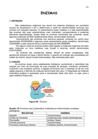 103


                                  ENZIMAS

1. DEFINIÇÃO

       São catalisadores orgânicos que atuam em sistemas biológicos em condições
suaves de temperatura e pH e determinam o perfil de transformações químicas que
ocorrem em soluções aquosas. O extraordinário poder catalítico e a alta especificidade
das enzimas são suas características mais marcantes, correspondendo a proteínas
altamente especializadas. Quase todas as enzimas conhecidas são proteínas, sendo
algumas moléculas de RNA cataliticamente ativas, denominadas ribozimas.
         Quimicamente são proteínas com estrutura especial, contendo um centro ativo
denominado APOENZIMA e algumas vezes apresentando grupo prostético, denominado
COENZIMA; a este conjunto dá-se a denominação de HALOENZIMA.
         Em alguns casos as enzimas podem estar ligadas a moléculas orgânicas de baixo
peso molecular ou íons metálicos cuja função é ativá-las, sendo denominados
COFATORES.
         As enzimas são substâncias sólidas, difíceis de serem cristalizadas. São
geralmente solúveis em água e álcool diluído, e quando em solução são precipitadas por
sulfato de amônio, álcool e ácido tricloroacético. São inativadas pelo calor.

2. FUNÇÃO
       As enzimas atuam como catalisadores biológicos, aumentando a velocidade das
reações por meio da diminuição de suas energias de ativação, mantendo, entretanto,
invariável o seu equilíbrio químico. A ligação da enzima com o substrato se dá em uma
região pequena e definida da molécula denominada sítio ativo. A integridade da molécula
enzimática protéica é necessária para a manutenção deste sítio ativo, ou seja, para a
ação catalítica (Figura 26).




                     Figura 26 – Enzima


Quadro 18- Enzimas cuja [ ] plasmática é alterada por determinadas condições
patológicas.
              MOLÉSTIAS                                   ENZIMAS
Hepatite                                  Transaminases
Enfarto do miocárdio                      Creatinoquinase, lactato desidrogenase
Pancreatite                               Amilase, lípase
Embolia pulmonar                          Transaminases
Processos obstrutivos biliares            Fosfatase alcalina, transaminases

                                                                                   103
 