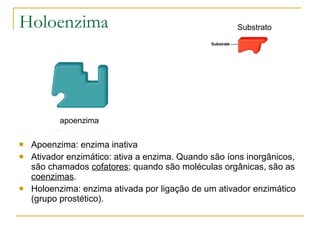 Holoenzima Apoenzima: enzima inativa Ativador enzimático: ativa a enzima. Quando são íons inorgânicos, são chamados  cofatores ; quando são moléculas orgânicas, são as  coenzimas . Holoenzima: enzima ativada por ligação de um ativador enzimático (grupo prostético). apoenzima coenzima Holoenzima Substrato 