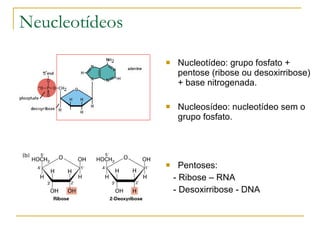 Neucleotídeos Nucleotídeo: grupo fosfato + pentose (ribose ou desoxirribose) + base nitrogenada. Nucleosídeo: nucleotídeo sem o grupo fosfato. Pentoses:  - Ribose – RNA - Desoxirribose - DNA 