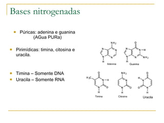 Bases nitrogenadas Púricas: adenina e guanina (AGua PURa) Pirimídicas: timina, citosina e uracila. Timina – Somente DNA Uracila – Somente RNA Uracila 