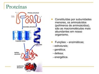 Proteínas Constituídas por subunidades menores, os aminoácidos (polímeros de aminoácidos), são as macromoléculas mais abundantes em nosso organismo. Funções: - enzimáticas; - estruturais; - genética; - defesa; - energética.       
