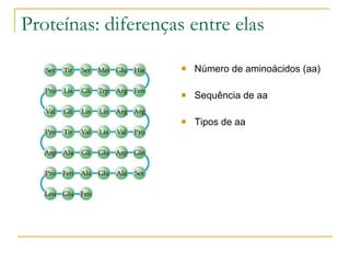 Proteínas: diferenças entre elas Número de aminoácidos (aa) Sequência de aa Tipos de aa 