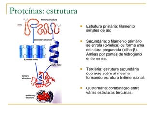 Proteínas: estrutura Estrutura primária: filamento simples de aa; Secundária: o filamento primário se enrola ( α - hélice) ou forma uma estrutura pregueada (folha- β ). Ambas por pontes de hidrogênio entre os aa. Terciária: estrutura secundária dobra-se sobre si mesma formando estrutura tridimensional. Quaternária: combinação entre várias estruturas terciárias. 