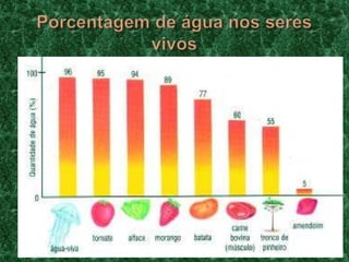 Porcentagem de água nos seres vivos