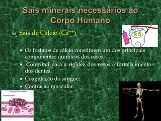 Sais minerais necessários ao Corpo HumanoSais de Cálcio (Ca++) Os fosfatos de cálcio constituem um dos principais componentes químicos dos ossos, Contribui para a rigidez dos ossos e fortalecimento dos dentes. Coagulação do sangue;Contração muscular.