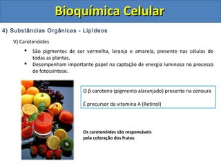 Bioquímica Celular
4) Substâncias Orgânicas - Lipídeos
   V) Carotenóides
          São pigmentos de cor vermelha, laranja e amarela, presente nas células de
           todas as plantas.
          Desempenham importante papel na captação de energia luminosa no processo
           de fotossíntese.


                               O β caroteno (pigmento alaranjado) presente na cenoura

                               É precursor da vitamina A (Retinol)




                               Os carotenóides são responsáveis
                               pela coloração dos frutos
 