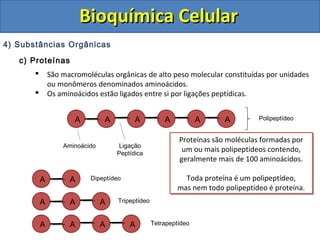 Bioquímica Celular
4) Substâncias Orgânicas
   c) Proteínas
              São macromoléculas orgânicas de alto peso molecular constituídas por unidades
               ou monômeros denominados aminoácidos.
              Os aminoácidos estão ligados entre si por ligações peptídicas.


                       A        A         A           A           A     A        Polipeptídeo


                                                           Proteínas são moléculas formadas por
                                                           Proteínas são moléculas formadas por
                   Aminoácido        Ligação
                                    Peptídica
                                                            um ou mais polipeptídeos contendo,
                                                            um ou mais polipeptídeos contendo,
                                                           geralmente mais de 100 aminoácidos.
                                                           geralmente mais de 100 aminoácidos.

           A         A     Dipeptídeo                       Toda proteína é um polipeptídeo,
                                                            Toda proteína é um polipeptídeo,
                                                          mas nem todo polipeptídeo é proteína.
                                                          mas nem todo polipeptídeo é proteína.
           A         A          A   Tripeptídeo


           A         A          A       A         Tetrapeptídeo
 