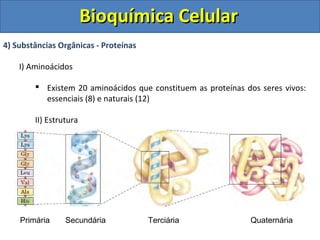 Bioquímica Celular
4) Substâncias Orgânicas - Proteínas

    I) Aminoácidos

         Existem 20 aminoácidos que constituem as proteínas dos seres vivos:
          essenciais (8) e naturais (12)

        II) Estrutura




    Primária     Secundária            Terciária              Quaternária
 
