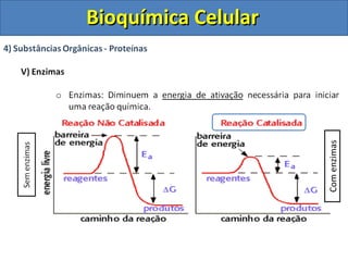 Bioquímica Celular




                     Com enzimas
 