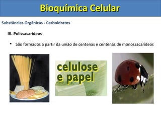 Bioquímica Celular
Substâncias Orgânicas - Carboidratos

   III. Polissacarídeos

     São formados a partir da união de centenas e centenas de monossacarídeos
 