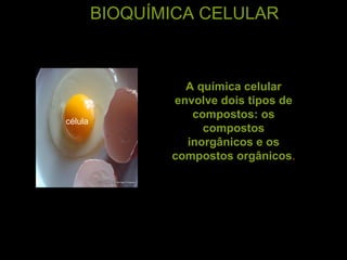 BIOQUÍMICA CELULAR
A química celular
envolve dois tipos de
compostos: os
compostos
inorgânicos e os
compostos orgânicos.
célula
 