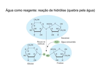 Água como reagente: reação de hidrólise (quebra pela água)
 