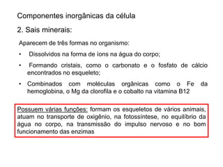 Componentes inorgânicas da célula
2. Sais minerais:
Aparecem de três formas no organismo:
• Dissolvidos na forma de íons na água do corpo;
• Formando cristais, como o carbonato e o fosfato de cálcio
encontrados no esqueleto;
• Combinados com moléculas orgânicas como o Fe da
hemoglobina, o Mg da clorofila e o cobalto na vitamina B12
Possuem várias funções: formam os esqueletos de vários animais,
atuam no transporte de oxigênio, na fotossíntese, no equilíbrio da
água no corpo, na transmissão do impulso nervoso e no bom
funcionamento das enzimas
 