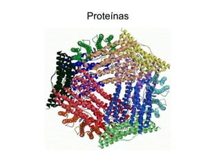 Proteínas
 