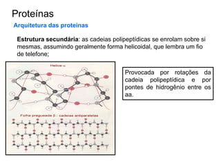 Proteínas
Arquitetura das proteínas
Estrutura secundária: as cadeias polipeptídicas se enrolam sobre si
mesmas, assumindo geralmente forma helicoidal, que lembra um fio
de telefone;
Provocada por rotações da
cadeia polipeptídica e por
pontes de hidrogênio entre os
aa.
 
