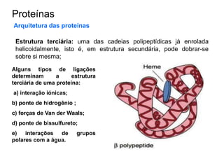 Proteínas
Arquitetura das proteínas
Estrutura terciária: uma das cadeias polipeptídicas já enrolada
helicoidalmente, isto é, em estrutura secundária, pode dobrar-se
sobre si mesma;
Alguns tipos de ligações
determinam a estrutura
terciária de uma proteína:
a) interação iónicas;
b) ponte de hidrogênio ;
c) forças de Van der Waals;
d) ponte de bissulfureto;
e) interações de grupos
polares com a água.
 