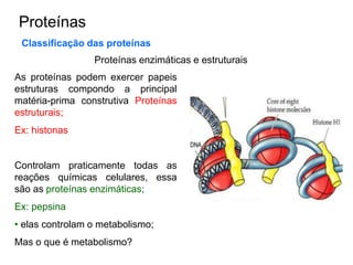 Proteínas
Classificação das proteínas
Proteínas enzimáticas e estruturais
As proteínas podem exercer papeis
estruturas compondo a principal
matéria-prima construtiva Proteínas
estruturais;
Ex: histonas
Controlam praticamente todas as
reações químicas celulares, essa
são as proteínas enzimáticas;
Ex: pepsina
• elas controlam o metabolismo;
Mas o que é metabolismo?
 