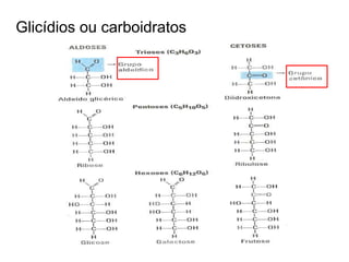 Glicídios ou carboidratos
 