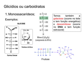 Glicídios ou carboidratos
1.Monossacarídeos;
Exemplos:
Frutose
Temos também a
galactose (ocorre no leite
e tem função energética)
e desoxirribose (ocorre
no DNA e tem função
estrutural)
 